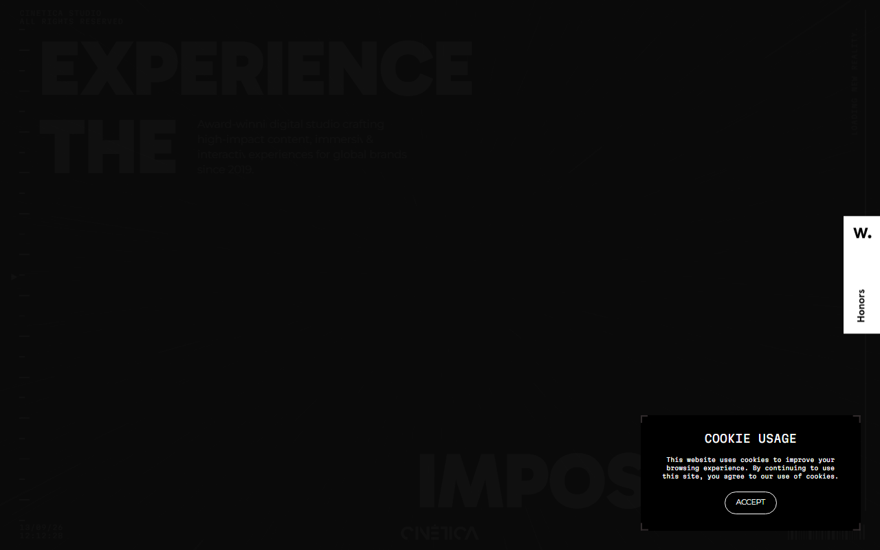 Cinetica Studio Portfolio Experience